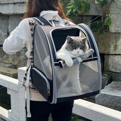 Sac a dos Chat