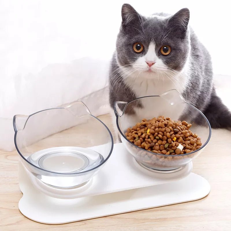 Bol d'alimentation pour chats et fontaine d'eau - Calinours Chats