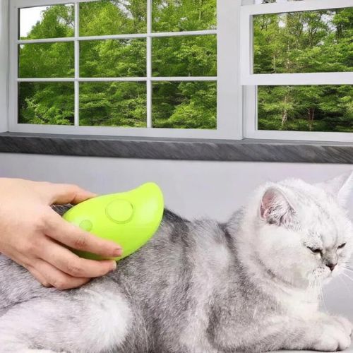 Brosse à vapeur électrique trois-en-un pour chats - VapoBrosse™ - Calinours Chats