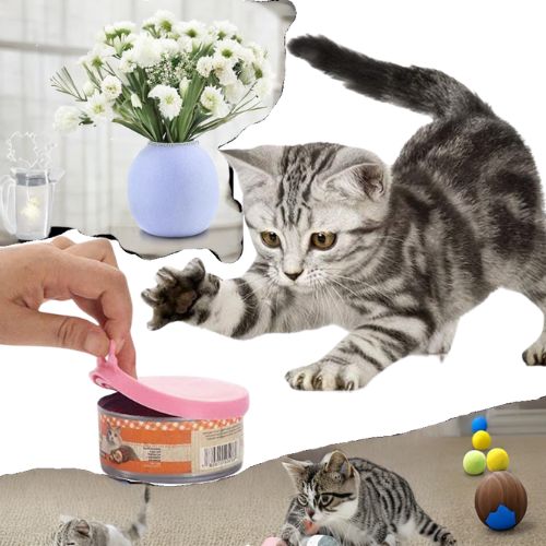 Couvercle de cannes de nouriiture pour chats -LidFoodcat™ - Calinours Chats