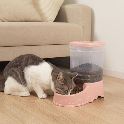 Distributeur de croquettes pour Chat