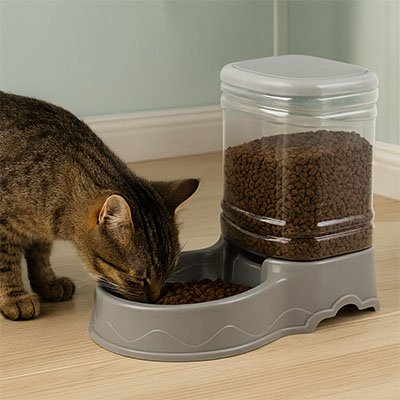 Distributeur de croquettes pour Chat