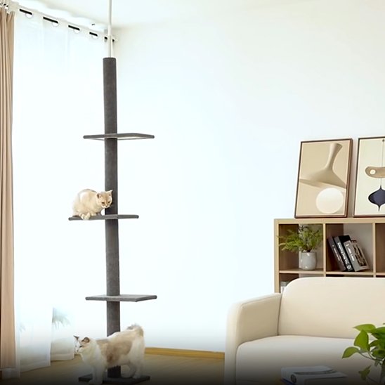 Arbre à chat