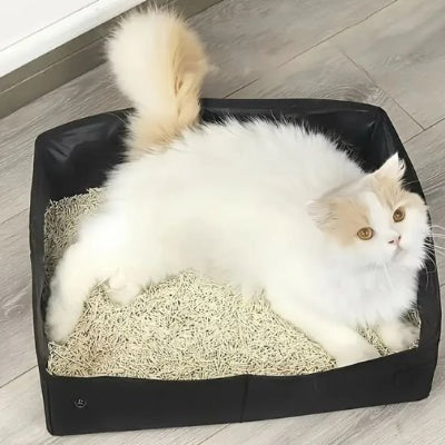 Bac à litière chat