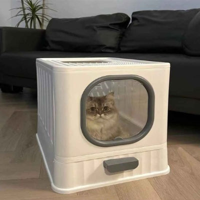 Bac litière chat