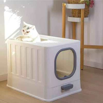 Bac litière chat