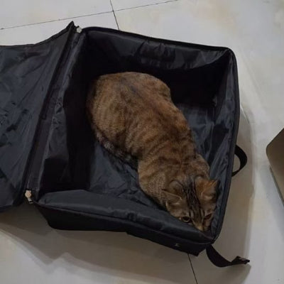 Bac à litière chat