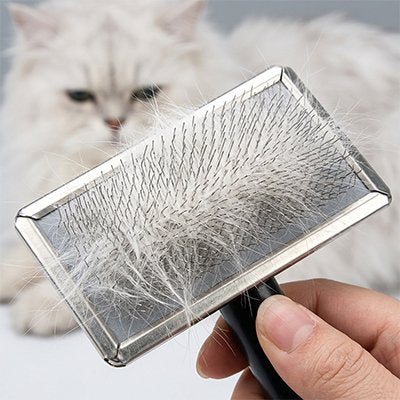 Brosse chat poil long​ 