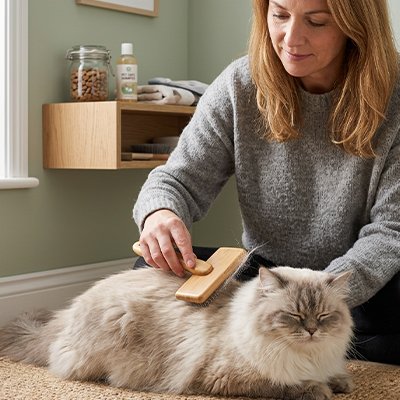 Brosse chat poil long​ 
