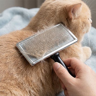 Brosse chat poil long​ 