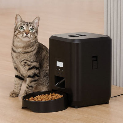 Distributeur de croquettes pour chat​