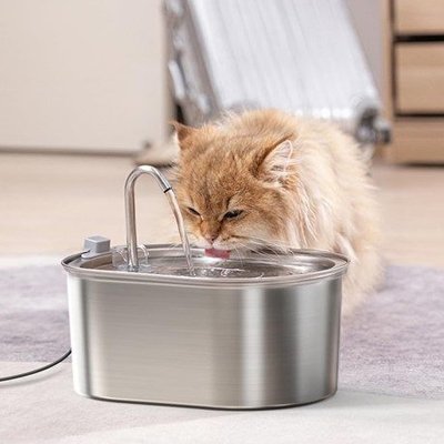 Fontaine a eau Chat