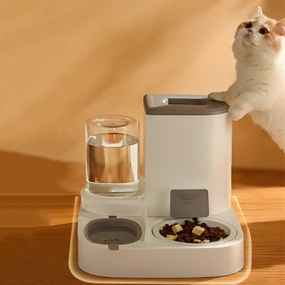 Gamelle chat
