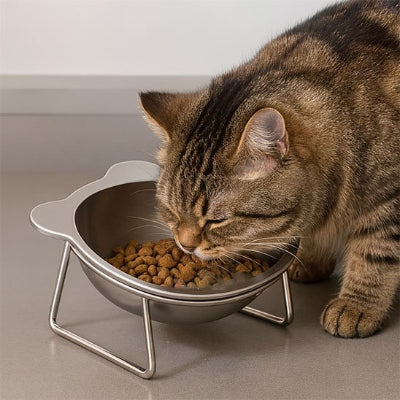 Gamelle pour chat