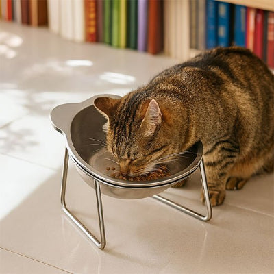 Gamelle pour chat