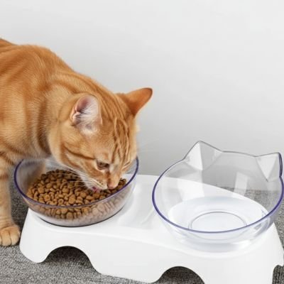 Gamelle pour Chat