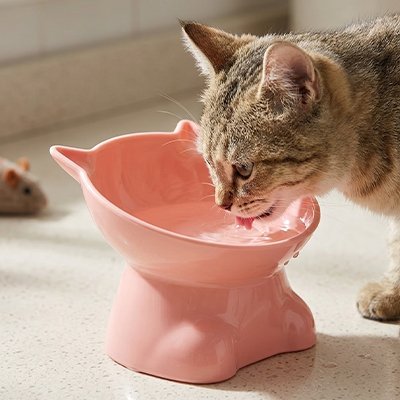 Gamelle surélevée chat 