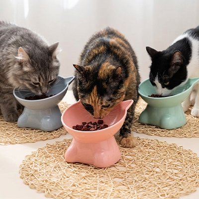 Gamelle surélevée chat 