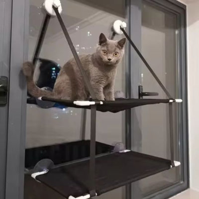 hamac chat fenetre