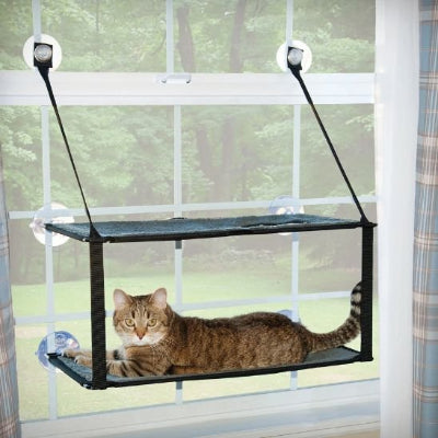 hamac chat fenetre