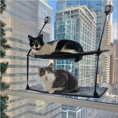 hamac chat fenetre