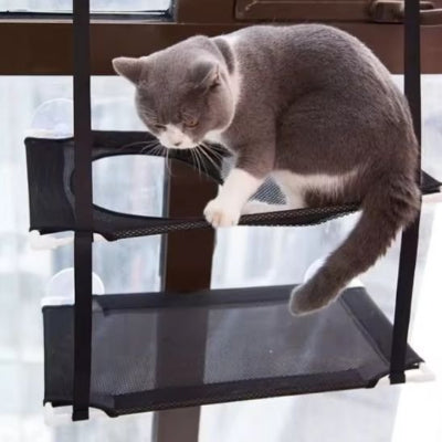 hamac chat fenetre