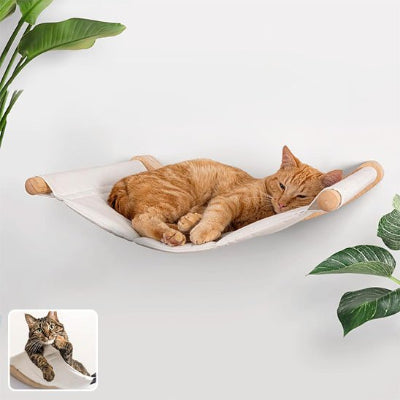 Hamac chat​