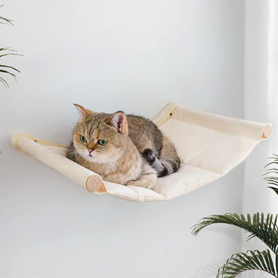 Hamac chat​
