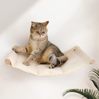 Hamac chat​