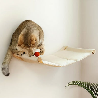 Hamac chat​