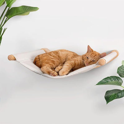 Hamac chat​