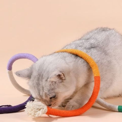 Jouet pour chat