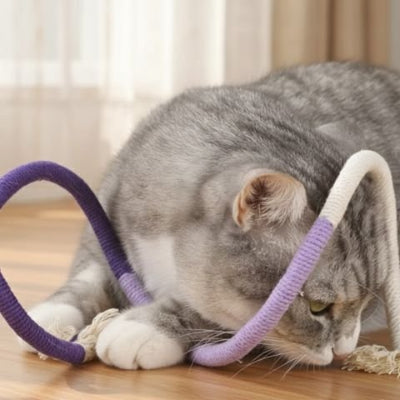 Jouet pour chat