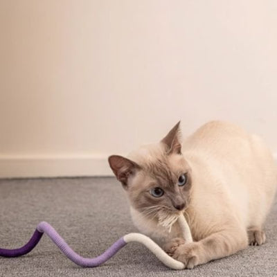 Jouet pour chat