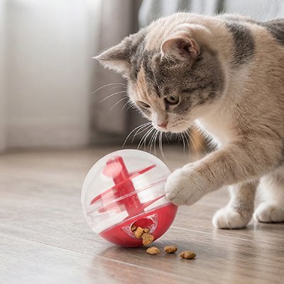 Jouet pour Chat 
