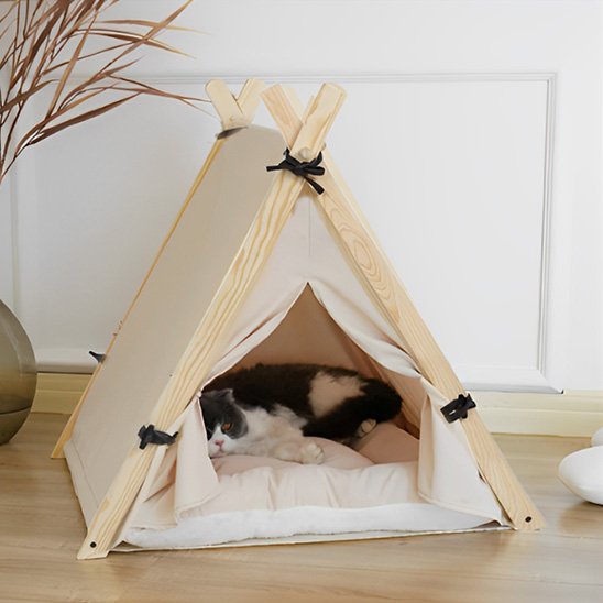 Niche pour chat