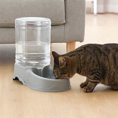 Distributeur de croquettes pour Chat | AutoFeedCat™