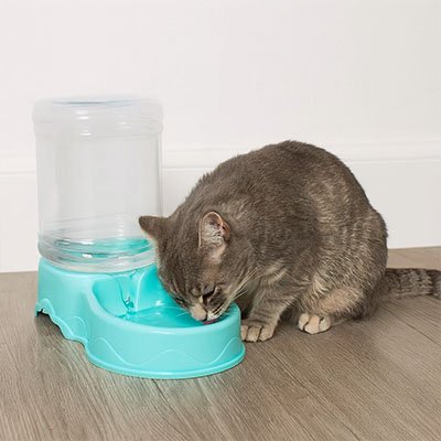Distributeur de croquettes pour Chat | AutoFeedCat™
