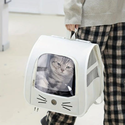 Sac a dos Chat