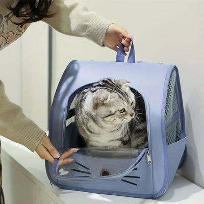 Sac a dos Chat
