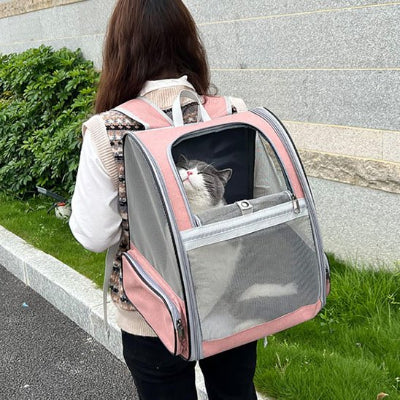 Sac a dos Chat