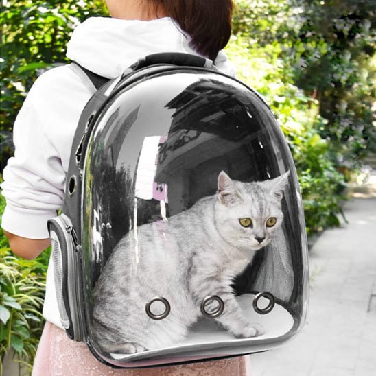 Sac de transport Chat | Voyage Confort - Calinours Chats
