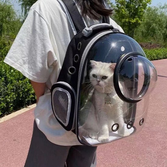 Sac de transport Chat | Voyage Confort - Calinours Chats