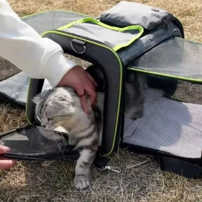 Sac de transport pour chat