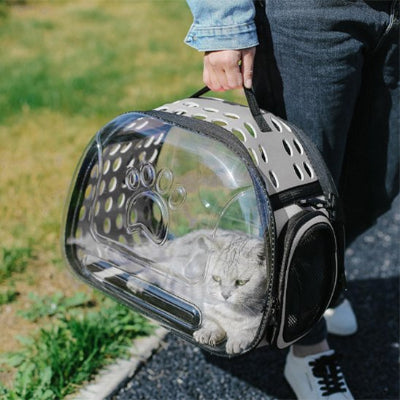 sac de transport pour chat