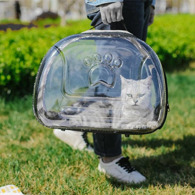 sac de transport pour chat