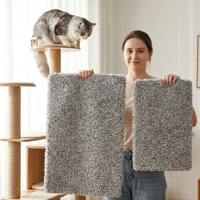 Tapis Chat