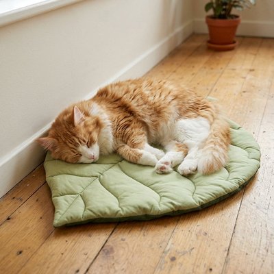 Tapis Chat