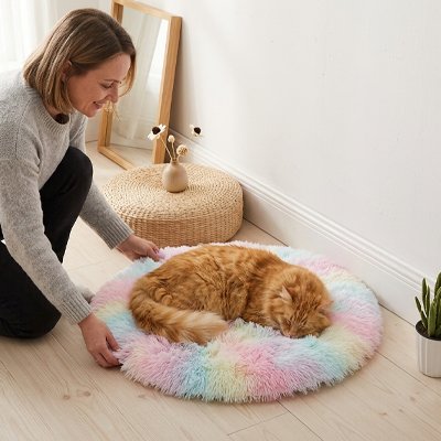 Tapis pour chat