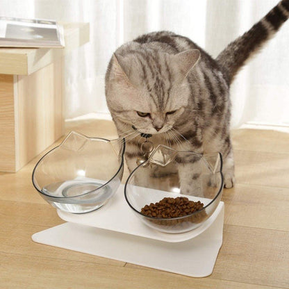 Bol d'alimentation et eau pour chats - Avec ce bol votre chat mangera comme un grand - Calinours Chats
